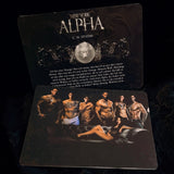 Charakterkarten New York Alpha + Gabriel