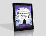Harrowmore Souls 2 E-Book