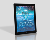 Winterstern E-Book